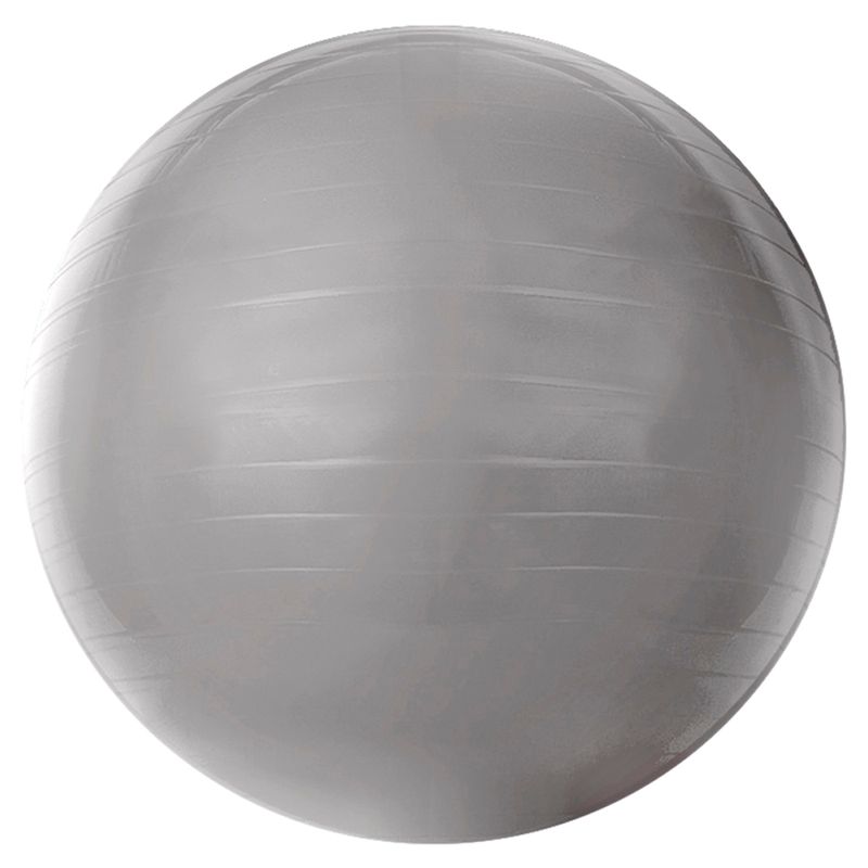 Bola-Gym-Ball-55-cm-Cinza