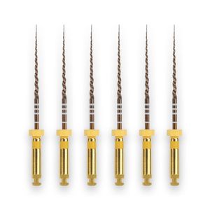Protaper Gold F1 21mm Dentsply Sirona