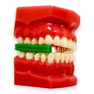 Mordedor Power Aligner com 4 Divisões Menta Coraldent