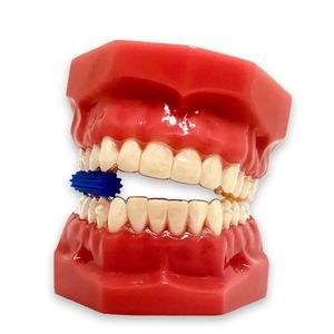 Mordedor Power Aligner 10 Menta Coraldent