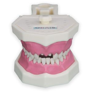 Manequim Materiais Dentários Orais