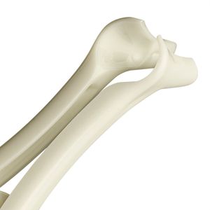 Espéculo Nasal Descartável 20un. Kolplast