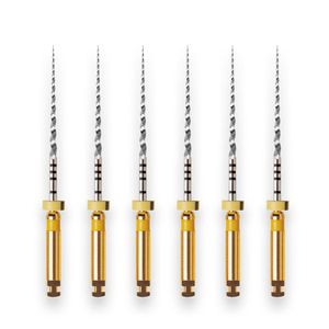 Lima Rotatória Protaper Universal 25mm com 6 Maillefer - Dentsply Sirona