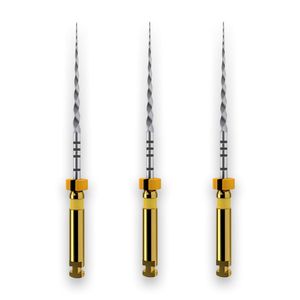 Protaper Next X1 21mm com 3 - Dentsply Sirona