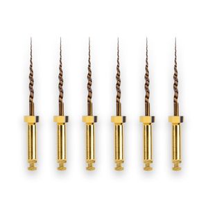 Protaper Gold Sx 19mm - Dentsply Sirona
