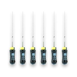 Lima Flexofile 40 de 25mm - Dentsply Sirona