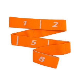 Faixa para Alongamento Fisioterapia Yoga e Pilates - Funcional - FL70 - Hidrolight